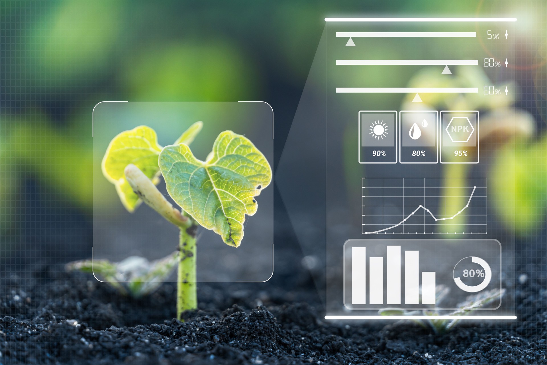Sigital monitoring of crops of parameters on digital holographic screen